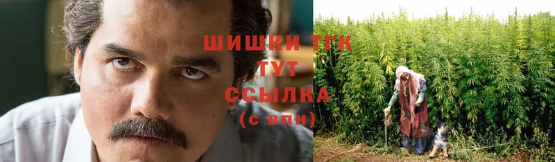 МАРИХУАНА SATIVA & INDICA  мориарти какой сайт  Приозерск 